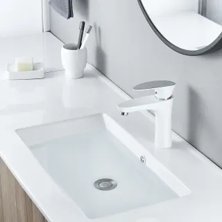 Смеситель для раковины Shevanik S9801F белый/хром